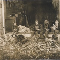 Crop: Corn Husking Bee.