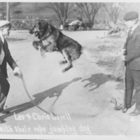 Lovell Farm, Etc.: Jumping Dog with Lovell Boys.