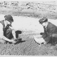 Lovell Farm, Etc.: The Park. Cock Fight.