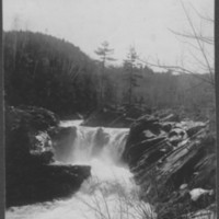Forest Falls. Gageville, VT.